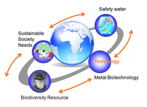 Schematic representation of a sustainable cycle for a safe society utilizing biodiversity and metal biotechnology